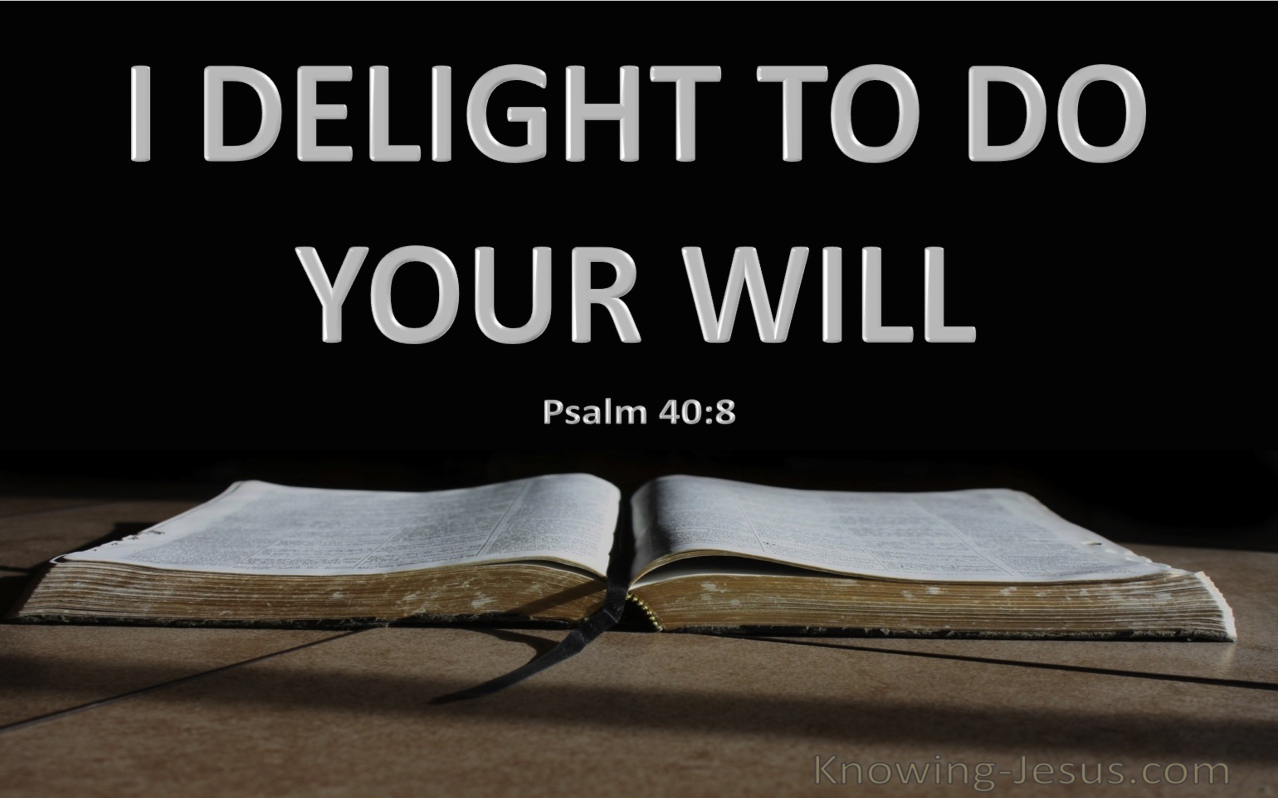 Psalm 40:8 I Delight To Do Your Will (gray)